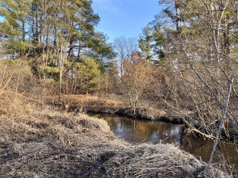 V/L Wildlife Shores, Evart, MI 49631