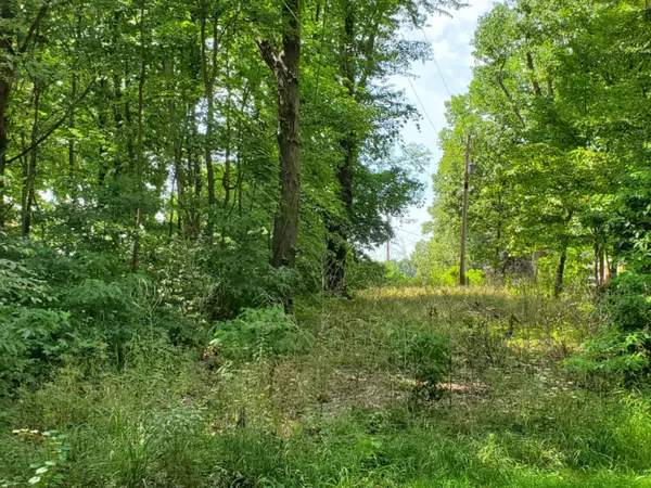 Dowagiac, MI 49047,127 Richey Road