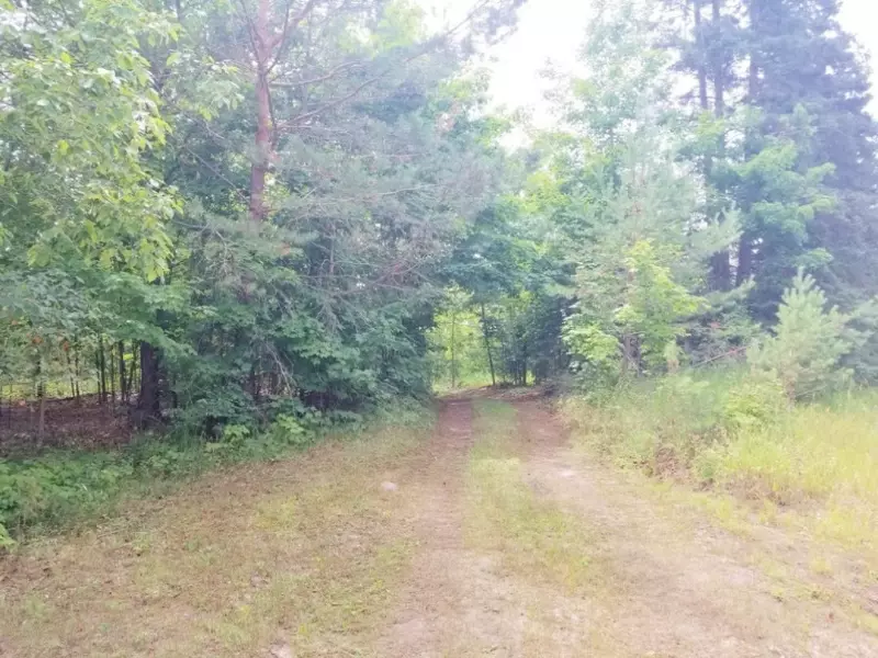 Par 1 7 Mile Road, Luther, MI 49656