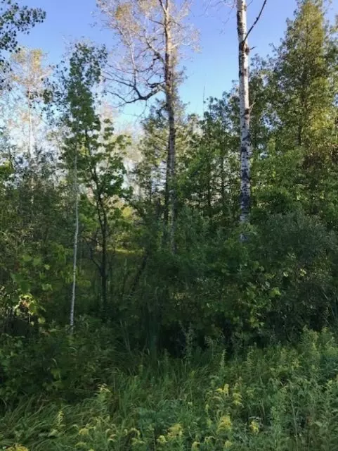 Copemish, MI 49625,Nesson City Road