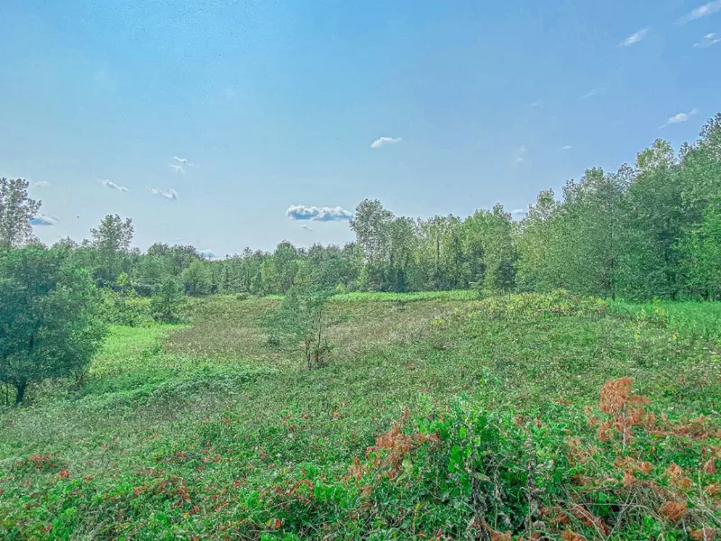 VL Dogwood Circle, Dowagiac, MI 49047