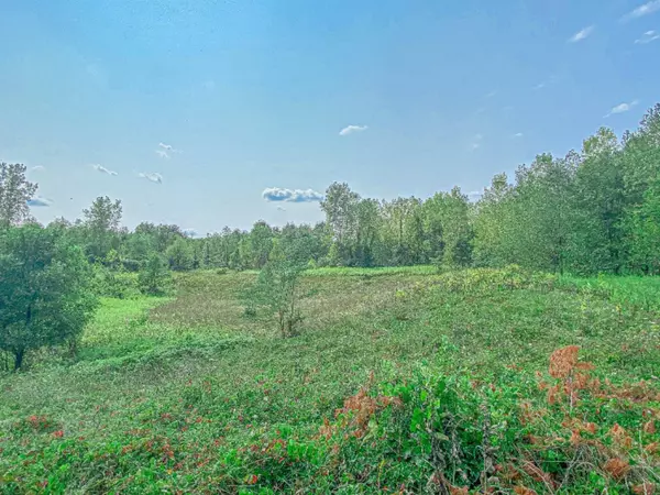 Dowagiac, MI 49047,VL Dogwood Circle