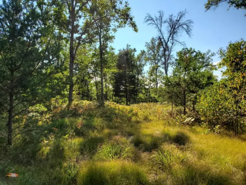 S Peacock Trail, Baldwin, MI 49304