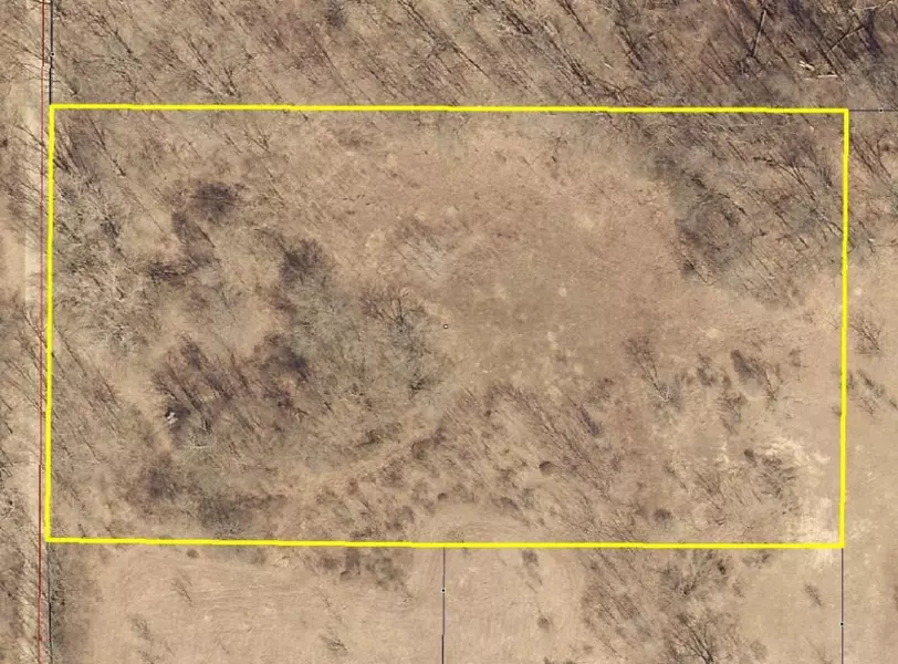 21331 29th Street, Gobles, MI 49055