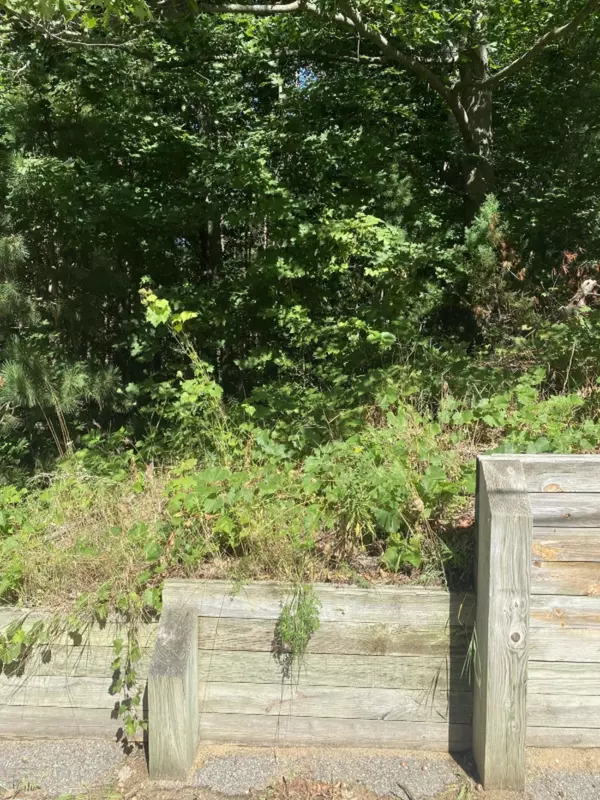 West Olive, MI 49460,9926 Lakeshore Drive