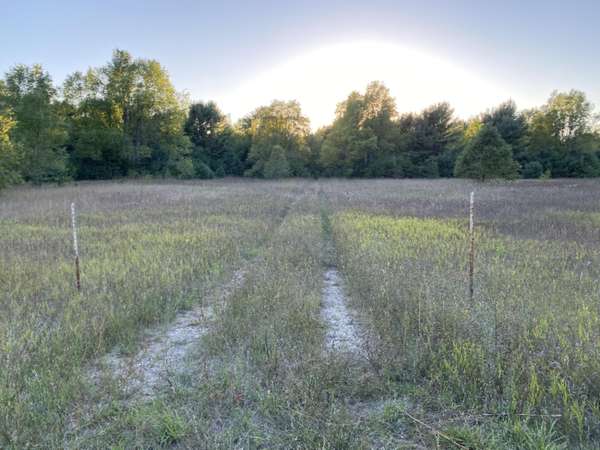 Bear Lake, MI 49614,80  Acres Healy Lake Road