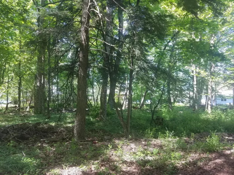 Leonard Avenue, Onekama, MI 49675