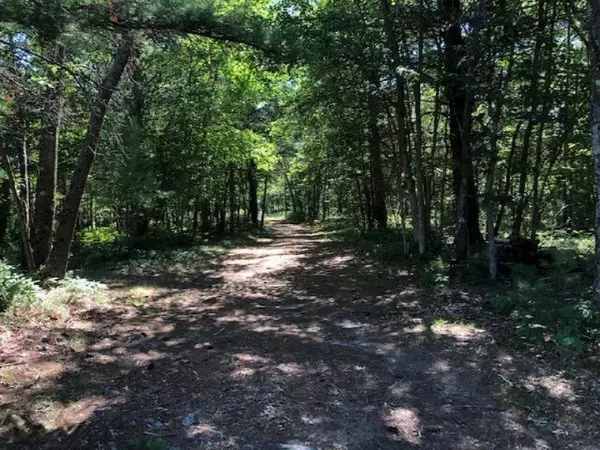 Free Soil, MI 49411,5878 E Hasenbank Road