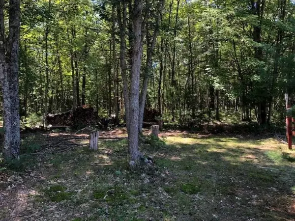 Free Soil, MI 49411,5878 E Hasenbank Road