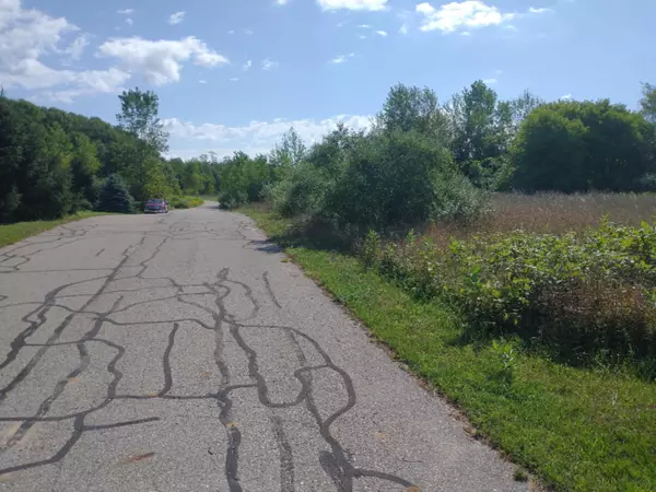 Fennville, MI 49408,V/L Old Garden