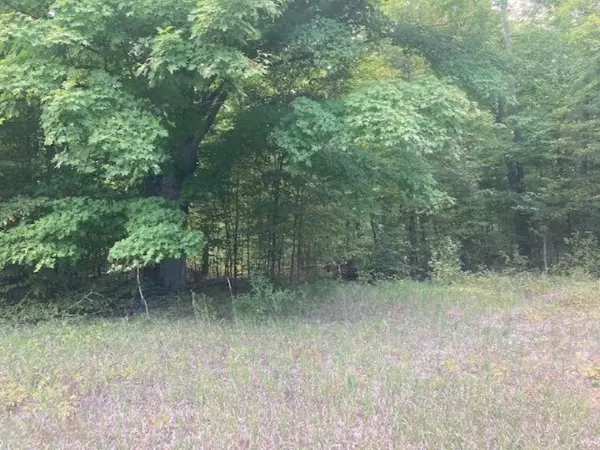 Copemish, MI 49625,VL Valencourt Road