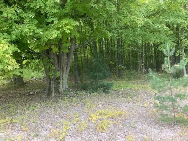 Copemish, MI 49625,VL Valencourt Road