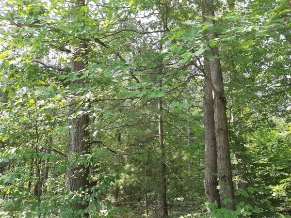 Fruitport, MI 49415,V/L Parcel A Hile Rd