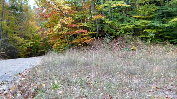 Onekama, MI 49675,9380 Woodland Drive