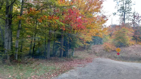 Onekama, MI 49675,9380 Woodland Drive