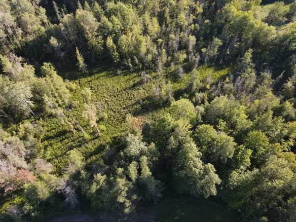 Hart, MI 49420,0 N 140th Ave