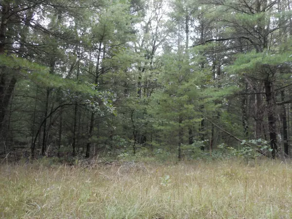 3700 E Brunswick, Holton, MI 49425