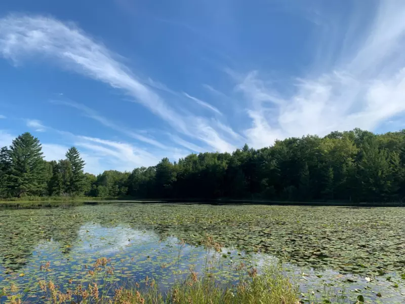 V/L Hawkins Road, Luther, MI 49656