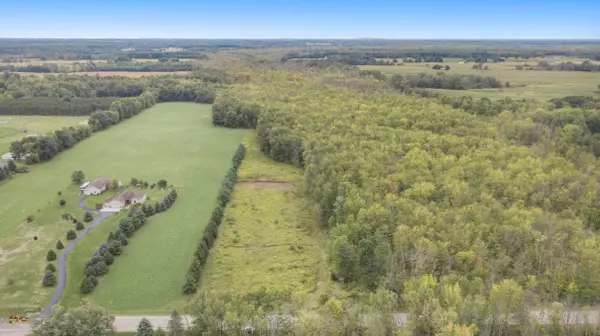 Blanchard, MI 49310,Parcel A N County Line Road