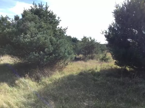 Pentwater, MI 49449,8300 N 66th Avenue #Parcel A