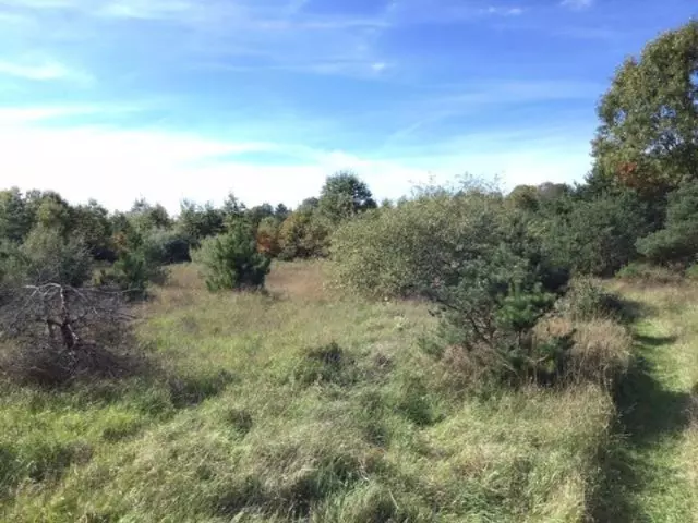 Pentwater, MI 49449,8300 N 66th Avenue #Parcel A