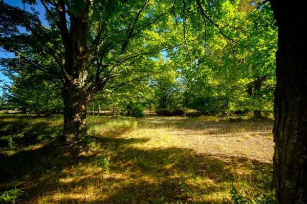 Bear Lake, MI 49614,Potter Road