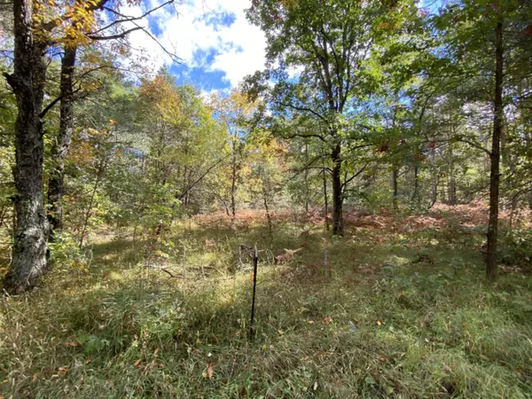 Evart, MI 49631,4154 125th Avenue