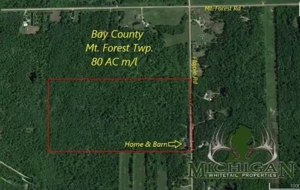 Rhodes, MI 48652,4757 N Flajole Rd