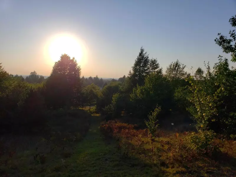 North Slope Drive #Lot 98, Onekama, MI 49675