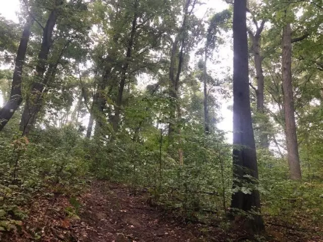 Forest Beach Road, Dowagiac, MI 49047