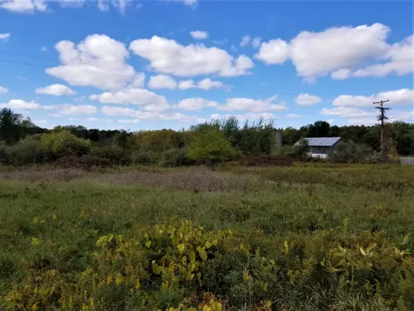 Gowen, MI 49326,TBD Pakes Road