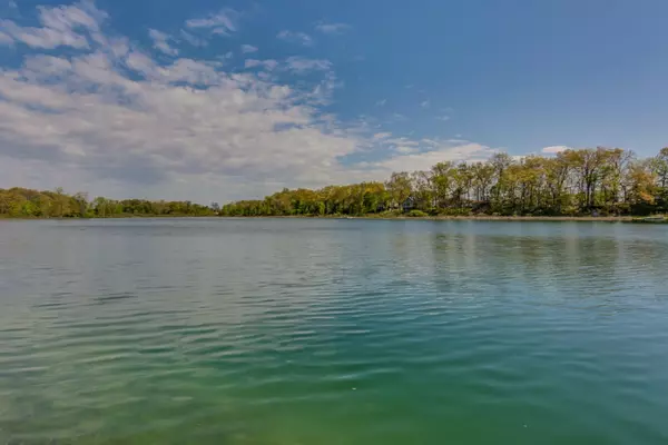 Cassopolis, MI 49031,VL Buffalo Lane