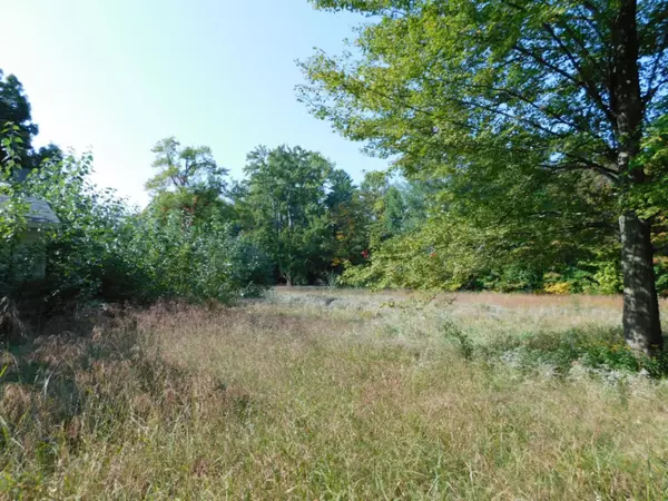 Grand Junction, MI 49056,58658 Co Rd 384