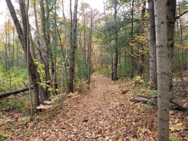 Winter Road, Walkerville, MI 49459