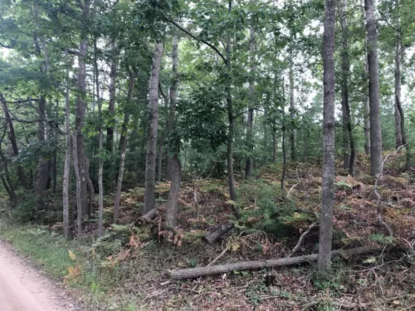 Lot 2 Harrison Road, Mears, MI 49436