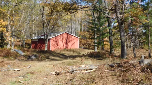 Hubbard Lake, MI 49747,80 Acres Yellow Gate Trail