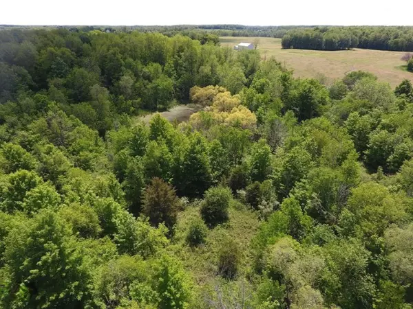 Pittsford, MI 49271,1755 Waldron Road