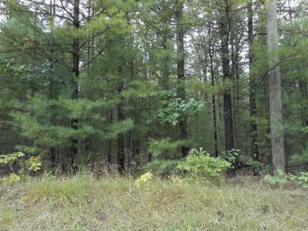 3176 Brunswick Road, Holton, MI 49425