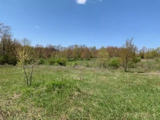 0 V/L Forest Beach Dive Lot 37, Cassopolis, MI 49031