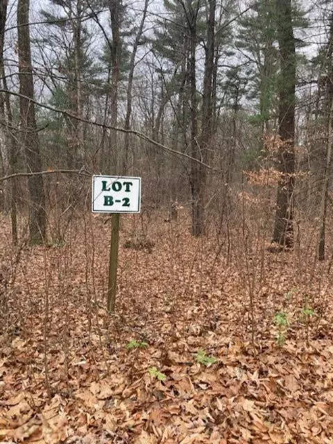 Limberlost Lane #B-2, Allegan, MI 49010
