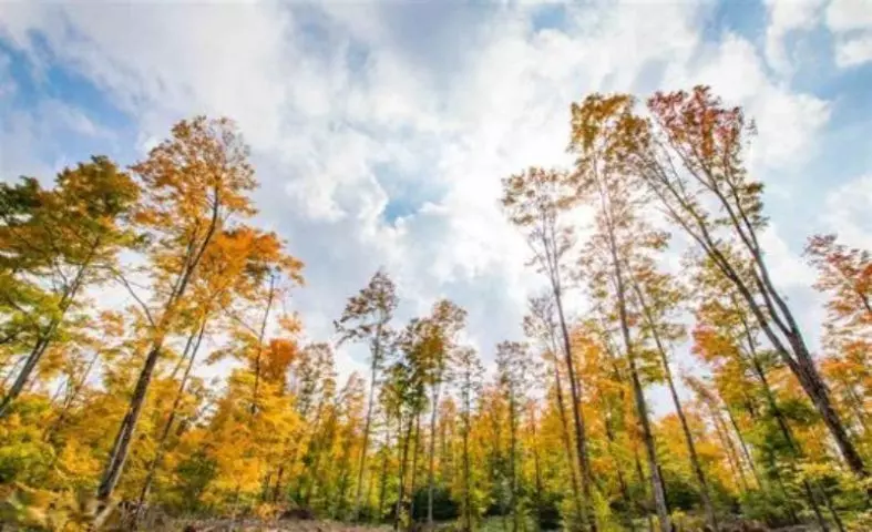 Lot 16 High Pines Trail, Boyne City, MI 49712