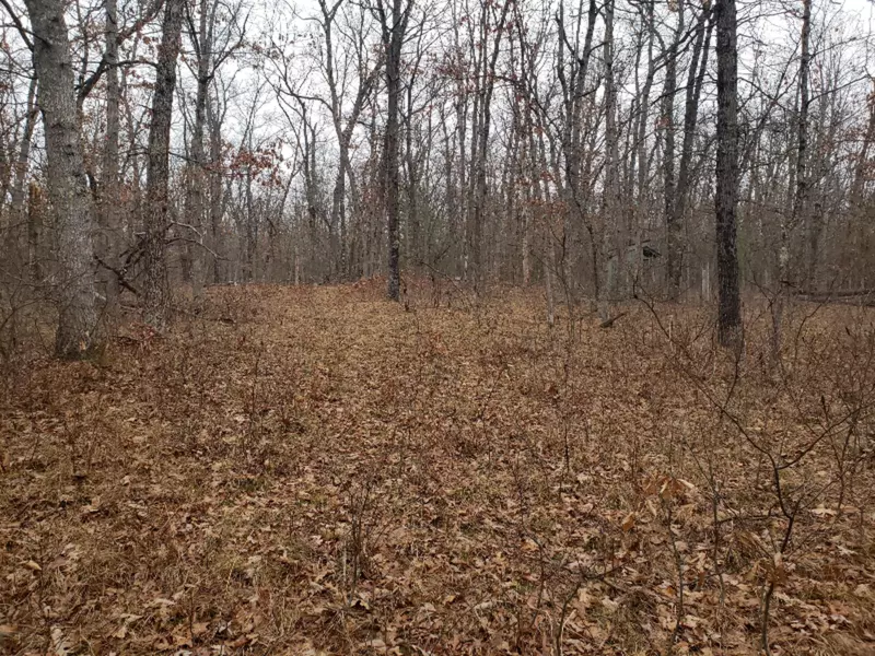 VL Peacock Road, Wellston, MI 49689