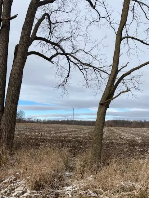 Homer, MI 49245,County Line Road