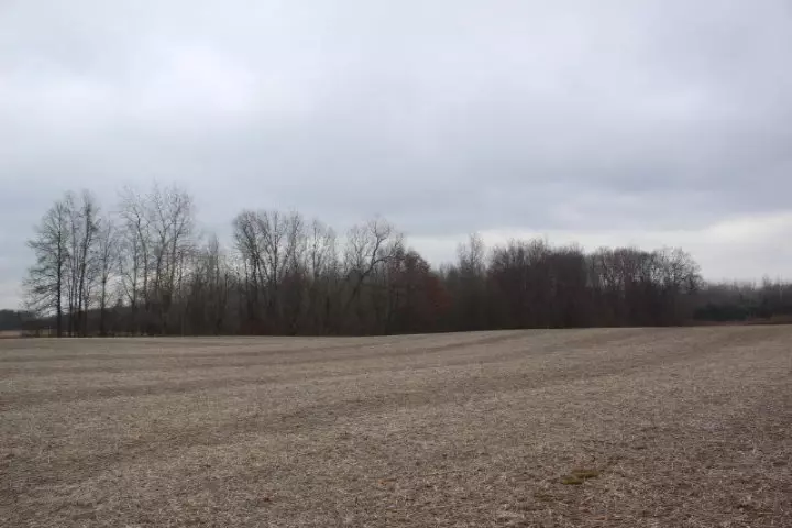 10716 Moran NE Street, Cedar Springs, MI 49319