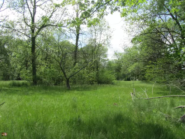 Springfield, MI 49037,371 N 32nd Street