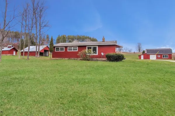 17315 Swanson Road, Bear Lake, MI 49614