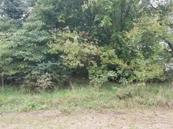 Dowagiac, MI 49047,133 Circle