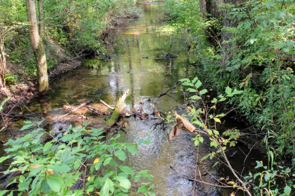 Dowagiac, MI 49047,M-51