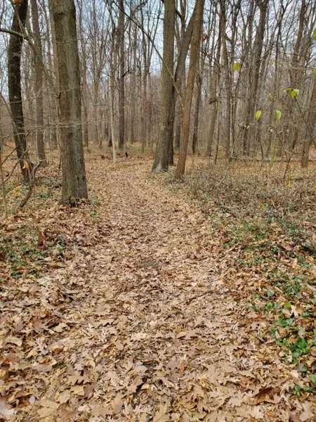 19 Forest Road, Dowagiac, MI 49047