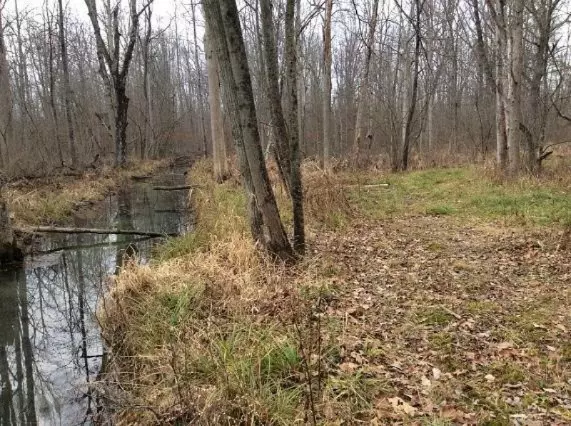 2900 County Road 653, Gobles, MI 49055